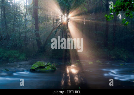 Sonnenstrahlen bei Forest Creek, Triebtal, Vogtland, Sachsen, Deutschland Stockfoto