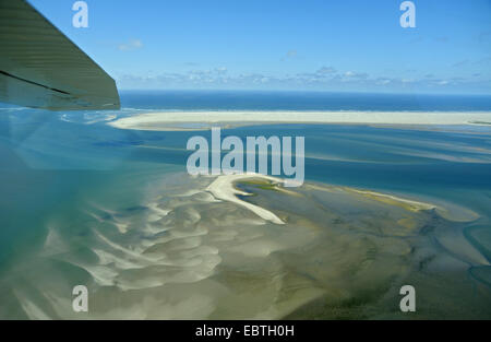 Blick aus einem Flugzeug auf einer Sandbank im Norden der Insel, Kolonie von gemeinsamen und grauen Dichtungen, Niederlande, Texel Stockfoto