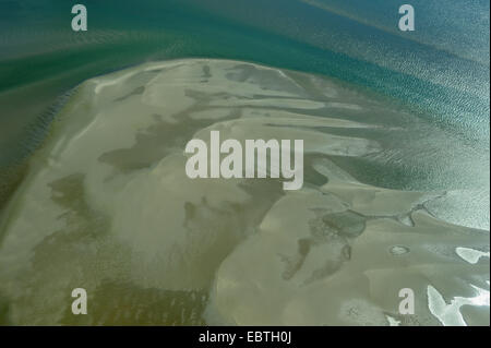 Blick aus einem Flugzeug auf einer Sandbank im Norden der Insel, Kolonie von gemeinsamen und grauen Dichtungen, Niederlande, Texel Stockfoto