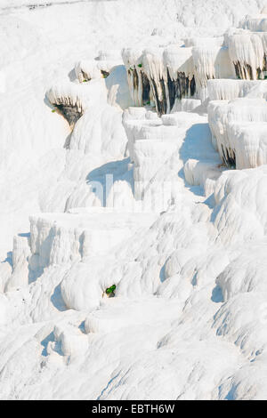 schneeweißen Gesicht des Berges in Pamukkale, Türkei Stockfoto