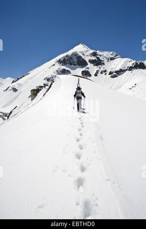 Skifahrer, Klettern auf den schneebedeckten Bergkamm, Österreich, Großglockner Stockfoto