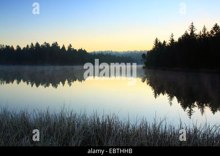 Etang de la GruÞre moor See, Schweiz, Saignelegier Stockfoto