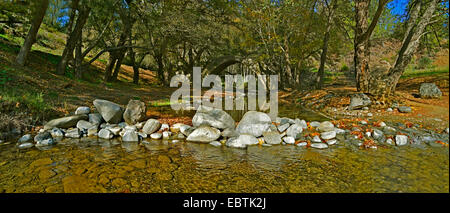 Einen Panoramablick über die Kelefos Brücke im Herbst mit einem kühner Damm über den kleinen Fluss Stockfoto