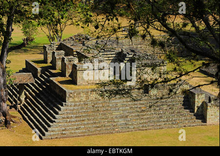 Maya-Tempel in Copán, Honduras, Copan Stockfoto