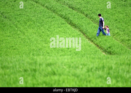 Vater mit seiner kleinen Tochter, die zu Fuß über ein Feld im Frühjahr, Deutschland, Nordrhein-Westfalen Stockfoto