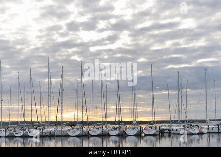 Segelyacht im Yachthafen bei Sonnenaufgang, Deutschland, Mecklenburg-Vorpommern, Rügen Stockfoto