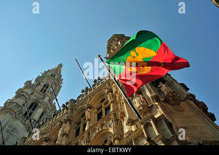 Flagge von Brüssel an der Fassade des gotischen Rathaus am Grand Place, Belgien, Brüssel Stockfoto