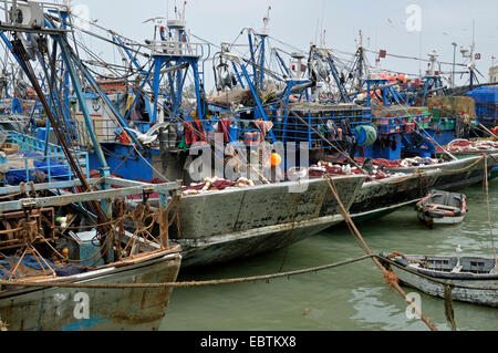 Angelboote/Fischerboote im Hafen, Marokko, Essaouira Stockfoto