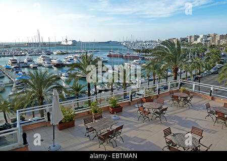 Blick von einer Dachterrasse über den Passeig Maritim am Yachthafen, Spanien, Balearen, Mallorca, Palma De Mallorca Stockfoto