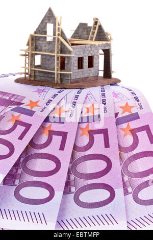 Euro-Banknoten und Shell eines Hauses Stockfoto