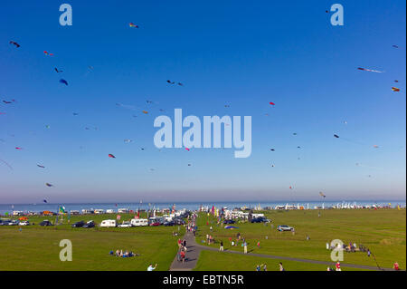 Drachenfest am Ufer der Elbe, Otterndorf, Cuxhaven, Niedersachsen, Deutschland Stockfoto