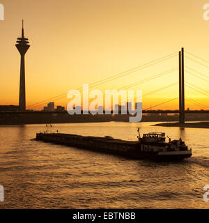 Rhein mit Frachtschiff, Rheinturm und Rheinkniebruecke im Abendlicht, Deutschland, Nordrhein-Westfalen, Düsseldorf Stockfoto