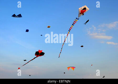 Kites auf dem Drachenfest in Schillig, Deutschland, Niedersachsen, Friesland, Wangerland Stockfoto