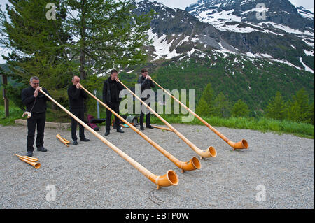 Alphorn-Gebläse vor einer Kulisse von Apls, Schweiz Stockfoto