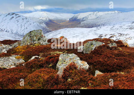 Glenshee Highlands, Großbritannien, Schottland, Cairngorm National Park Stockfoto