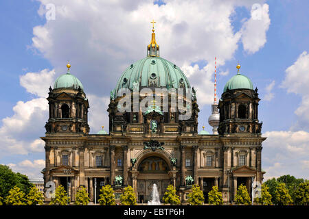 Stiftskirche, Deutschland, Berlin, Berliner Dom und obersten Pfarrkirche Stockfoto