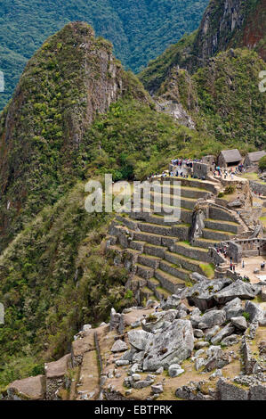 Reisegruppe im alten Inka-Ruinen von Machu Picchu, Peru, Anden, Machu Picchu Stockfoto