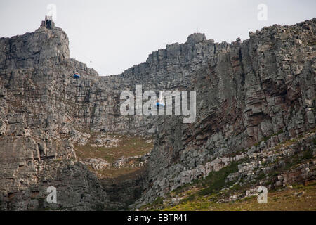 Blick von der Seilbahn auf den Tafelberg von Talstation, Südafrika, Western Cape, Kapstadt Stockfoto