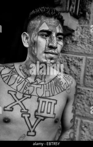 Ein ehemaliges Mitglied der 18th Street Gang (Angestellte) zeigt seine Bande Tattoos auf der Straße in San Salvador, El Salvador, 12. Mai 2011. Stockfoto