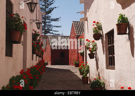 Gasse in Arequipa, Peru Stockfoto