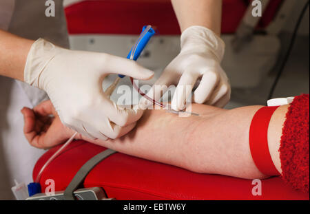 Krankenschwester und Patient Blutentnahme Stockfoto