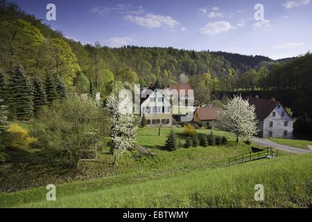 Dorf in einer hügeligen Wald- und Wiesenlandschaft, Deutschland, Sachsen, Burgk Stockfoto