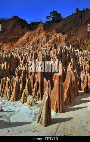 roter Kalkstein Karstgebilde, Madagaskar, Nationalpark Tsingy de Bemaraha Tsingy Stockfoto