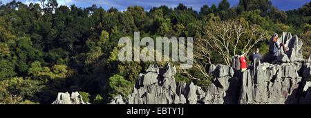 Touristen in Karstlandschaft, Madagaskar, Nationalpark Tsingy de Bemaraha Tsingy Stockfoto
