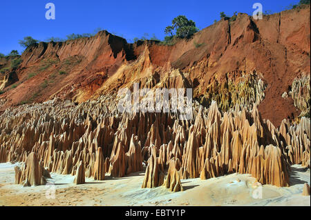 roter Kalkstein Karstgebilde, Madagaskar, Nationalpark Tsingy de Bemaraha Tsingy Stockfoto