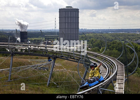 junger Mann auf einen Sommer-Rutsche von Alpin-Zentrum auf dem Gebiet der Kokerei Prosper, Deutschland, Nordrhein-Westfalen, Ruhrgebiet, Bottrop plat Stockfoto