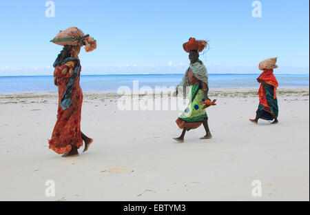 Frauen tragen Taschen mit Algen auf ihren Köpfen am Sandstrand, Tansania, Sansibar Stockfoto