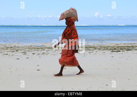 Frau mit einer Tasche mit Algen auf dem Kopf am Sandstrand, Tansania, Sansibar Stockfoto