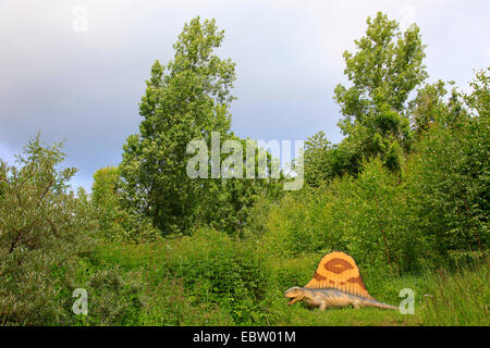 Dimetrodon (Dimetrodon), Säugetier wie Reptil Stockfoto