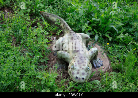 Acanthostega (Acanthostega), eines der ersten terrestrischen Tetrapoden Stockfoto