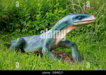 frühe Reptil (Protorosaurus), Vorfahren der Dinosaurier Stockfoto