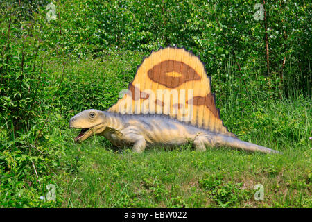 Dimetrodon (Dimetrodon), Säugetier wie Reptil Stockfoto