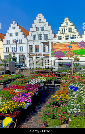 Stand von Blumen vor Giebelhäuser auf dem Marktplatz von Friedrichstadt, Deutschland, Schleswig-Holstein, Norden Frisia, Friedrichstadt Stockfoto