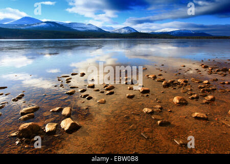 Loch Morlich bei Sonnenaufgang, Großbritannien, Schottland, Cairngorm National Park Stockfoto