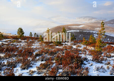 Cairgorm Gebirge Landschaft, Großbritannien, Schottland, Cairngorm National Park Stockfoto