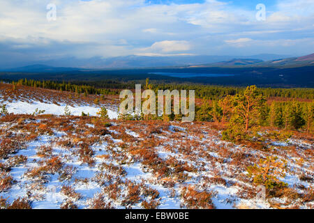 Cairgorm Berg Landschaft, Großbritannien, Schottland, Cairngorm National Park Stockfoto