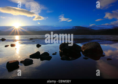 Loch Morlich in den Morgen, Großbritannien, Schottland, Cairngorm National Park Stockfoto