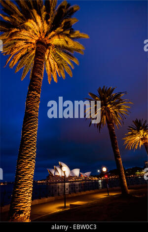 Sydney Oper in der Nacht, Australien, New South Wales, Sydney Stockfoto