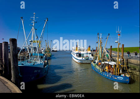 Fischtrawler und Fähre Boot im Hafen, Deutschland, Schleswig-Holstein, Norden Frisia, Strucklandungshoern Stockfoto