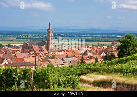 Blick vom Weinberg in die Stadt und Neo-romanischen Kirche St. Etienne, Frankreich, Bas-Rhin, Sélestat-Erstein, Dambach-la-Ville Stockfoto