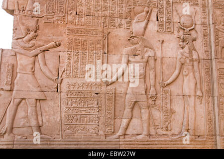 Wandbild Relief im Tempel von Kom Ombo für den Falcon geleitet Gott Haroeris ein Krokodilgott Sobek, Ägypten, Kom Ombo Stockfoto