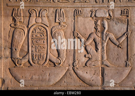 Wandbild Relief im Tempel von Kom Ombo für den Falcon geleitet Gott Haroeris ein Krokodilgott Sobek, Ägypten, Kom Ombo Stockfoto