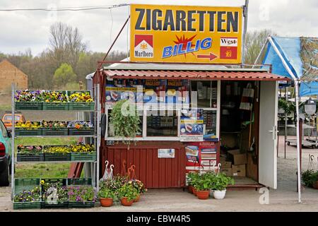 Verkaufsstand mit billige Zigaretten und Blumen am polnischen Markt, Polen, Westpommern, Zehden Stockfoto