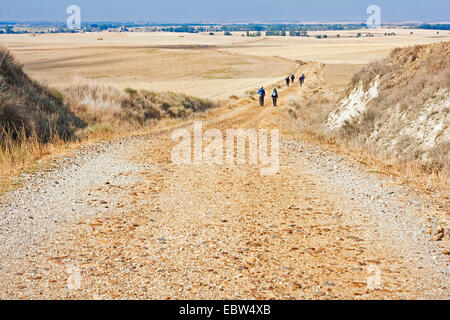 Pilger auf dem Weg St James zu Fuß durch die trockenen Meseta auf dem Weg von Itero De La Vega nach Boadilla del Camino, Spanien, Kastilien Und Leon, Palencia Stockfoto