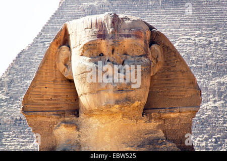 Große Sphinx von Gizeh mit Pyramide von Khafre im Hintergrund, Ägypten, Gizeh Stockfoto
