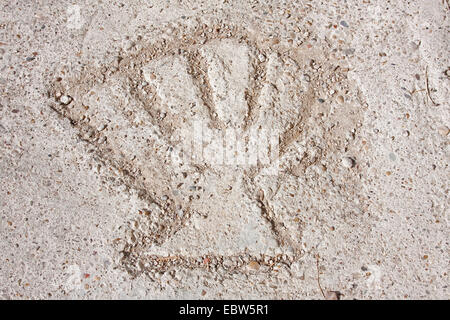 Symbol der Jakobsmuschel geschnitzt in eine Fahrbahn, Spanien, Kastilien und Le¾n, Burgos, Hontanas Stockfoto